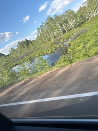 The image depicts a landscape view seen from inside a vehicle. A paved road with a white line marking is visible on the right. To the left of the road is a grassy area leading to a body of water, possibly a canal or a river. Beyond the water, there's a forest of trees, predominantly birch trees with their characteristic white bark. The sky is visible above the trees, with scattered clouds against a blue background. The image suggests a location in a natural setting, possibly rural, with elements of both nature and infrastructure. Burduguz, Russia is not explicitly identifiable from this image.