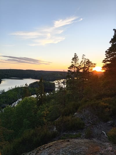 This is a high-angle, eye-level, medium shot of a lake and forest landscape in Skriketorp, Sweden, during sunset. The sky is a gradient of blue and orange, with wispy clouds. The sun, a bright orange orb, is setting behind silhouetted trees in the mid-ground. The foreground is a rocky, overgrown slope covered in dry grass and bushes. In the mid-ground, a dark lake with scattered reflections of trees winds through a densely forested area. The trees are a mix of evergreen and deciduous, with some dead trees interspersed. The overall mood is serene and natural, with the warm glow of the setting sun illuminating the scene. There are no people or animals visible in the image.
