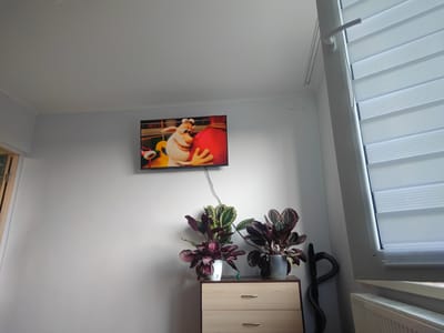 The image depicts a domestic scene in a room, likely a living room or bedroom, located in Piatra Albă, Moldova. The primary focus is a flat-screen television mounted on a white wall, displaying a cartoon. The cartoon features a white, furry character with large ears and a friendly expression, seemingly interacting with a large red object.
Below the television, a wooden chest of drawers with two drawers is visible. On top of the chest are two potted plants. The plant on the left has dark purple and green leaves and is in a white pot. The plant on the right also has dark purple and green leaves and is in a greyish pot. A vacuum cleaner hose is visible leaning against the wall to the right of the chest of drawers.
To the right of the scene, a window with white blinds is prominent. The blinds appear to be a roller type with a translucent, striped pattern. A white window handle is also visible. The overall lighting suggests it is daytime, with light coming from the window. The walls are plain white, and the ceiling appears to be similarly colored. There are some minor imperfections or cracks visible on the upper part of the wall to the right. The general ambiance is that of a lived-in, functional space. There is no visible text in the image.