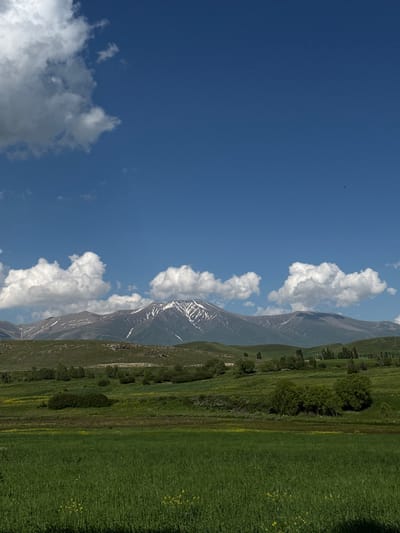 The image depicts a landscape with a clear blue sky dotted with white clouds. In the middle ground, a mountain range with snow-capped peaks is visible. The foreground features rolling green hills with scattered trees and a field of tall green grass. The scene is likely in or around the city of Sisian, Armenia, known for its mountainous terrain and natural beauty. There are no people or identifiable structures in the image.