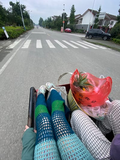 The image was taken from the perspective of someone sitting in a wheeled vehicle, likely a rickshaw or cart, traveling on a paved road in Chongzhou City, China. The road features a prominent pedestrian crossing with white stripes. The vehicle contains a woven basket holding a red plastic bag with a pineapple and other items, and at least two people are seated in the vehicle, as evidenced by their legs and clothing. One person is wearing distinctive blue and green knitted leg warmers and light-colored sneakers. Another person is wearing plaid trousers. The surrounding environment includes trees, houses with white walls and dark roofs, streetlights, and other vehicles in the distance. The sky is overcast, suggesting a cloudy day.