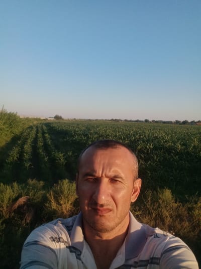 The image is a close-up, front-facing selfie taken by a man outdoors. He has short, graying hair and stubble. He is wearing a light-colored collared shirt with dark stripes. The background consists of a vast, green field of crops, possibly corn, stretching into the distance under a clear, pale blue sky. The sun appears to be setting or rising, casting a warm light on the man's face and the crops, creating shadows. The location is identified as Romitan, Uzbekistan, suggested by the landscape which is characteristic of the region's agricultural areas.