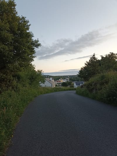 The image depicts a paved road curving uphill, bordered by dense green foliage and trees on either side. In the distance, a small village with colorful houses is visible, situated against a backdrop of a pale sky with scattered clouds. The overall atmosphere suggests an evening setting. The scene is located in Annagry East, Ireland. There are no people visible in the image. The environment is natural, with vegetation dominating the foreground and midground, and the village providing a human element in the background. The road is the primary subject in the foreground, leading the viewer's eye towards the village. The lighting is soft, consistent with twilight.