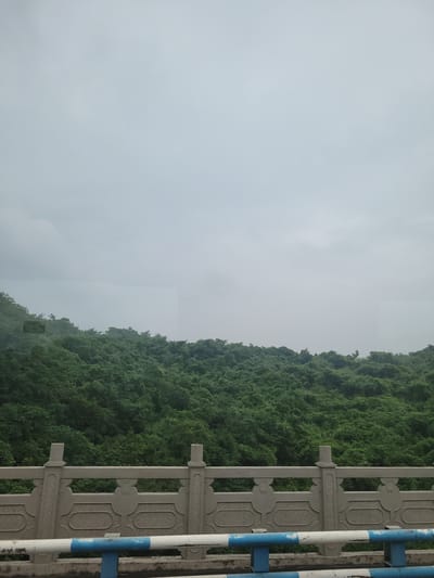 The media file shows a view from a railing overlooking a densely forested mountainside. The railing itself is made of stone with decorative elements and is complemented by blue and white striped poles. The mountainside is covered in lush green trees, suggesting a natural and perhaps tropical environment. The sky is overcast, indicating a cloudy or possibly misty day, and the light is soft and diffused. The overall impression is one of a serene and natural landscape, possibly a scenic viewpoint or park. No people are visible in the image. There is no discernible text in the media file. The location context provided is Yufengshan, China.