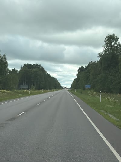 The image depicts a perspective view of a highway in Estonia, likely near Sillamäe linn, as indicated by the visible blue road signs with white text. The road stretches into the distance, bordered by a grassy verge and a dense line of trees. The sky is overcast with dramatic, heavy clouds, suggesting a gray and potentially damp day.
On the side of the road, several white marker posts are visible, some with black tops, lining the verge. A blue road sign with blue and white text is partially visible amongst the trees, possibly indicating a town or junction. In the distance, a few cars are visible on the highway, suggesting ongoing traffic. The overall impression is of a journey on a road surrounded by nature under a brooding sky. The time of day is unclear due to the overcast conditions, but the lighting suggests it is daytime. No people are clearly identifiable in the image.