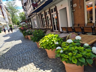This media file depicts a sunny day in Brunswick, Germany, likely during the late morning or early afternoon given the bright sunlight and distinct shadows. The scene is a charming cobblestone street lined with historic buildings and an outdoor cafe.
In the foreground, large terracotta pots filled with lush green hydrangeas and other flowering plants are arranged along the edge of the sidewalk, creating a vibrant border. The plants are healthy and well-maintained, with some white hydrangea blooms adding pops of color. Beyond the plants, wooden tables and chairs are set up for outdoor dining, some with cushioned seating.
A few people are visible walking down the street. On the left, three women are walking away from the camera, dressed in casual attire suitable for warm weather. Further up the street, a small group of people, likely a family or friends, are also walking. The general atmosphere appears relaxed and pleasant, suggesting a typical day in a European town.
The buildings lining the street are a mix of styles, with some featuring ornate facades and large windows. One building has a sign that reads "Altstadt Treff CAFE - BISTRO - BAR," indicating the presence of a cafe or restaurant. Another building displays a street number "14-15" and "AM-MAGNITÖR" on a metal plaque. The architecture, the cobblestone street, and the outdoor cafe seating all contribute to a classic European urban setting. The bright sunlight and clear blue sky suggest fair weather, enhancing the inviting atmosphere of the scene.