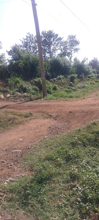 The image captures an unpopulated outdoor scene in West Sakwa ward, Kenya, dominated by an unpaved dirt path and dense vegetation under a bright, overcast sky. The foreground and lower right feature a dense patch of green grass and assorted low-lying plants. The central area presents a reddish-brown dirt path, exhibiting tire tracks or erosion patterns. Adjacent to the path on the left, at the base of a utility pole, is a collection of debris including discarded wood pieces and unidentified refuse. A light brown wooden utility pole, marked with faded white material resembling posters or flyers, stands vertically in the left-center, extending upwards out of the frame. To the right of the pole, on a slightly elevated area, a light-colored rectangular concrete or stone marker is visible. The background consists of a sloping embankment covered extensively with dark green bushes and taller trees. Multiple thin, dark utility lines are discernible against the bright, hazy white sky in the upper portion of the frame. No individuals, animals, or explicit actions are depicted.