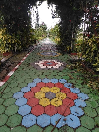 The image displays a paved garden pathway located in Hafjell, Norway, viewed from a low angle looking forward. The pathway consists of hexagonal pavers, predominantly green, with distinct circular patterns embedded along its length, rendered in red, blue, and yellow hexagons surrounding a central gray hexagon. A white and red painted line borders the left edge of the path. Dense, verdant foliage forms an overgrown natural archway or tunnel overhead, shading the path and extending along both sides. Various green leaves, some with lighter variegation, and sparse red foliage are visible within the growth. In the midground and background, the path narrows, flanked by additional trees and greenery. A tall, slender conifer tree is visible to the left in the distance, alongside decorative white metal arch structures. The path surface appears slightly damp and features scattered organic debris, including leaves and small twigs. No individuals or discernible actions are present within the scene.