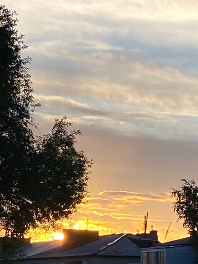 This is a photograph of a sunset over Bishkul, Kazakhstan. The sky is filled with dramatic clouds, tinged with orange and yellow from the setting sun. In the foreground, silhouetted against the bright sky, are the tops of trees and rooftops of houses. The overall impression is one of a peaceful, twilight scene in an urban environment.