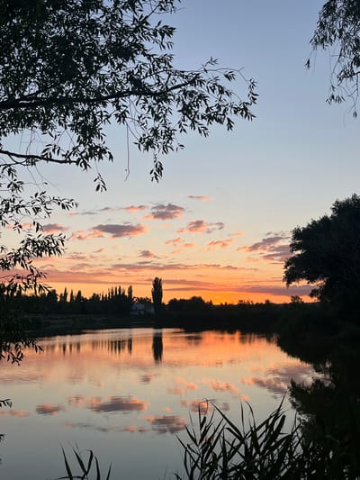 A serene sunset is captured over a calm body of water, reflecting the vibrant hues of the sky and surrounding vegetation. Silhouetted trees line the far bank of the water, with a small building nestled among them. The foreground is framed by dark, leafy branches on the left and tall reeds on the right. The sky transitions from a pale blue at the top to a fiery orange and pink near the horizon, where the sun is setting. Scattered clouds are tinged with the warm colors of the sunset. The overall impression is one of tranquility and natural beauty.
