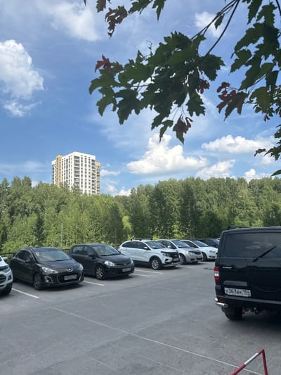 The image shows an outdoor parking lot in Koltsovo, Russia, on a clear, sunny day. Several cars are parked in marked spaces. In the background, a tall, modern apartment building with light-colored facades and numerous windows stands out against a backdrop of dense green trees. The sky is blue with scattered white clouds. Branches with green leaves and some reddish hues are visible in the foreground, obscuring parts of the sky. The parking lot surface appears to be asphalt or concrete. One car in the foreground, a black SUV with a spare tire mounted on the back, has a license plate visible that reads "H363BK 154". Another black hatchback has a license plate "M970BM 154".