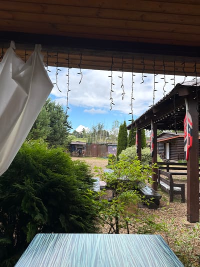 The image depicts an outdoor scene, possibly a garden or recreational area, viewed from under a wooden overhang. String lights hang from the overhang, illuminating the area. The overhang itself is constructed of wood, with a visible roof structure above. Several decorative boards, featuring red, white, and black patterns, are attached to the wooden beams of the structure.
Beyond the overhang, a green, leafy tree dominates the foreground on the right side of the image. In the background, there is more greenery, including a conifer tree, and a wooden fence enclosing a grassy area. A small wooden building or shed is visible behind the fence, along with some outdoor seating. The sky is bright blue with scattered white clouds, suggesting it is daytime. The overall impression is one of a pleasant, possibly warm day in a rural or semi-rural setting. There is no visible text in the image.