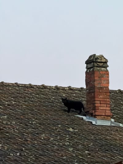 A black cat stands on a clay tiled roof in Saint Antoine l'Abbaye, France. The cat is facing left with its tail slightly raised. To the right of the cat is a brick chimney with a stone cap. The sky is overcast and light in color. The roof tiles are weathered and uneven.