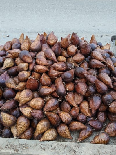 A pile of salak fruit is displayed on a grey concrete surface in Peurupok, Indonesia. The fruits are characterized by their reddish-brown, scaly skin and conical shape, varying in size and hue. Some fruits are glossy, suggesting they are fresh, while others appear drier. The pile is densely packed, with individual fruits overlapping and forming a rough, organic mound. The background consists of a grey, granular surface, possibly a road or pathway, with a faint line of lighter grey material along the top edge of the image. The lighting is even, casting minimal shadows and highlighting the texture of the salak. No people or other objects are visible in the frame.