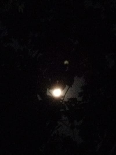 A blurred, dark image shows a bright, circular light source peeking through dense, dark foliage. The light source appears to be the moon, partially obscured by tree branches. The overall scene suggests nighttime, possibly in an outdoor environment with trees. The location is identified as Jetis, Indonesia. No people or other specific objects are discernible due to the low light and blurriness.