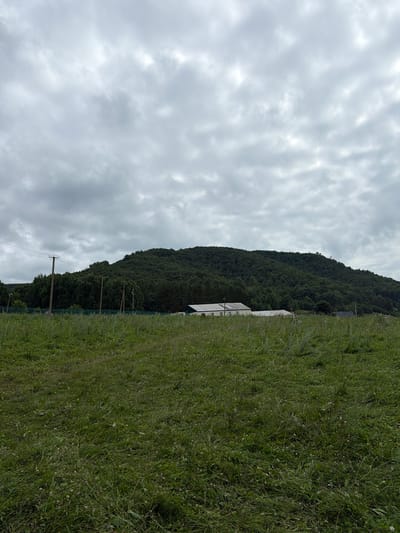 A full-frame, vertical, slightly elevated medium shot captures a landscape under an overcast sky. The foreground is dominated by a field of green grass, appearing somewhat unkempt with varying lengths of vegetation and scattered small white flowers. In the midground, a dense, dark green forest covers a gently sloping hill. A few man-made structures are visible nestled at the base of the hill, including a long, low-lying white building with a darker roof and a smaller green-roofed building to its right. Power lines are strung between utility poles that stand along the edge of the forest. The sky is filled with heavy, grey clouds, suggesting a diffused or impending weather event. The scene depicts a rural or semi-rural environment, possibly on the outskirts of the city of Sergeevka, Russia, characterized by natural terrain and limited human development. No people or animals are present in the frame.