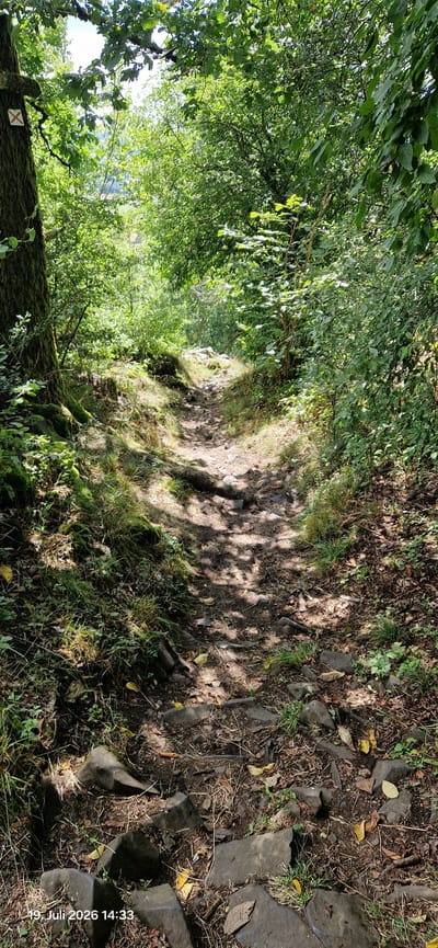 The image shows a rocky, uphill hiking path winding through a dense, sun-dappled forest. The path is covered in loose stones and dirt, with patches of grass and moss growing along the edges. Sunlight filters through the canopy of green leaves, creating a dappled effect on the path. A large tree trunk with moss is visible on the left side of the path, marked with a red 'X' symbol. In the background, the forest continues, with more trees and foliage. The overall impression is one of a natural, somewhat wild, outdoor environment. The timestamp "19. Juli 2026 14:33" is visible in the bottom left corner of the image. This scene is located on the historic "Maximiliansweg" long-distance hiking trail in Neustadt am Kulm, Germany, specifically on a section leading up towards the Kulm.