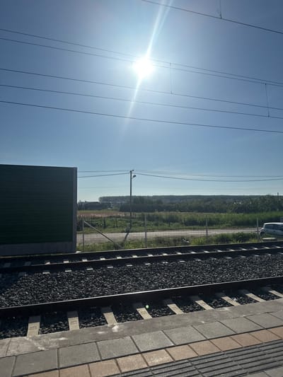 The image depicts a train track with a bright sun in a clear blue sky. In the foreground, there are two sets of train tracks on a gravel base, bordered by a concrete platform. To the left, a tall, dark green, ribbed sound barrier is visible. Beyond the tracks, a wire fence encloses a grassy field with some vegetation. In the distance, a cluster of buildings suggests a settlement, possibly in Petrovaradin, Serbia, with a line of trees forming the horizon. A light pole with overhead wires stands near the fence. A light-colored car is parked on a dirt path to the right of the frame. The overall scene is an outdoor, daytime environment.