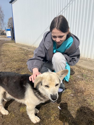 The image depicts a young woman interacting with a dog in what appears to be a rural or semi-rural area. The woman is kneeling on the ground, wearing a gray jacket with a blue inner layer and gray pants. She is looking at the dog and has her hand on its neck, seemingly petting it. The dog is predominantly white with black markings on its back and head. The ground is covered with dry grass and mud. In the background, there is a white corrugated metal building. The location is Норья, Russia.