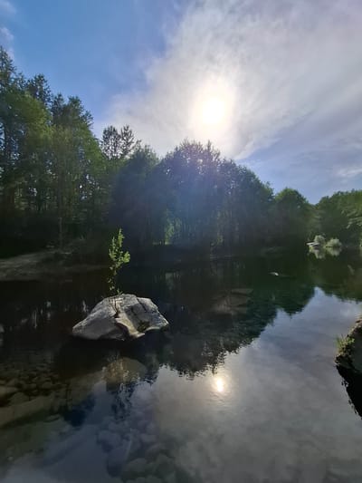 The image depicts a serene natural scene, likely in the city of Vydrino, Russia, with a body of calm water reflecting the sky and surrounding trees. The sun is bright and high in the sky, partially obscured by wispy clouds. On the left side of the frame, a large rock sits in the water, with a small, green sapling growing from its surface. The water is clear enough in some areas to reveal submerged stones. Lush green trees line the far bank of the water, forming a dense forest. The overall impression is one of tranquility and natural beauty.