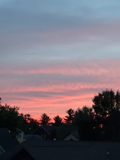 A photograph captures a sky filled with wispy, horizontal clouds painted in hues of pink, purple, and blue, suggesting a sunset or sunrise. Silhouetted against this colorful sky are dark green trees and the rooftops of houses. The scene appears to be a residential area within the city of Wisconsin Dells, Wisconsin, United States of America. The lower portion of the image is dominated by the dark shapes of roofs, with a few houses partially visible in the background. The overall impression is one of a tranquil evening or early morning scene in a suburban setting.