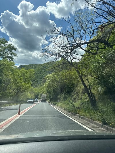 This media file captures a scenic drive through a mountainous, forested region, likely in Mechkul, Bulgaria. The image is taken from inside a vehicle, looking forward through the windshield, with a portion of the car's interior visible on the far right.

The central subject is an asphalt road stretching into the distance. It features a clear white solid line marking the right edge of the driving lane. On the immediate right side of the road, there's a red and white barrier or curb, separating the road surface from a lower bank of green foliage and grass. Several cars are visible ahead on the road, seemingly in a line, with a truck featuring a white tank and the text "FLORATOS" prominently displayed on its side leading the small convoy.

To the left of the road, a steep, heavily wooded mountain or hillside dominates the landscape, covered in dense green trees and vegetation. In the foreground and midground on the left, several trees with intricate bare branches, some showing early signs of new leaves, are silhouetted against the sky. The sky above is partly cloudy, displaying significant patches of bright blue amidst large, fluffy white and grey cumulus clouds.

The scene depicts daytime conditions, with ample sunlight illuminating the landscape. The road surface appears somewhat damp, possibly from recent rain. The overall impression is one of a journey through a lush, natural environment, possibly in spring given the state of some trees.