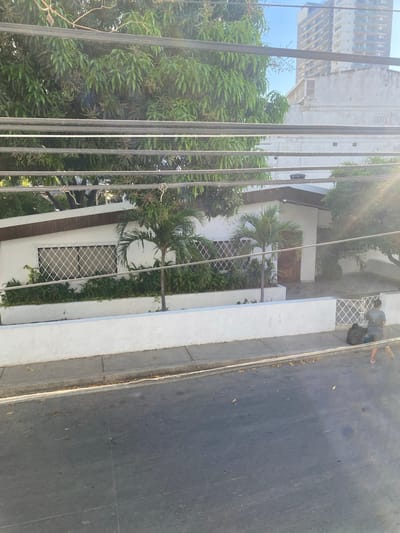 The image shows a street scene in Santa Marta, Colombia, viewed through a wrought iron fence and a screen of overhead power lines. A two-story building with a white facade, dark trim, and a brown front door is partially visible behind a dense mango tree. The building has a window covered with white lattice. Potted plants and vines grow along the base of the building. A pedestrian carrying a dark bag is visible walking along the sidewalk in the upper right corner. The street is paved and slightly darkened in areas. Taller buildings are visible in the background.