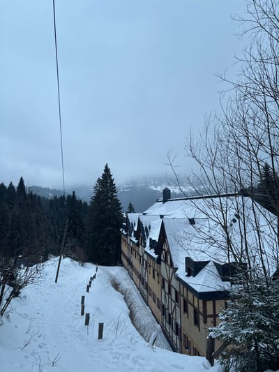 A building with snow on the roof stands next to a snowy hillside. Trees flank the building and stretch into the distance. Some trees are coated in snow and others are bare. The sky is overcast and gray. A path with wooden steps is visible on the snow-covered hillside. An electrical wire runs diagonally across the sky.