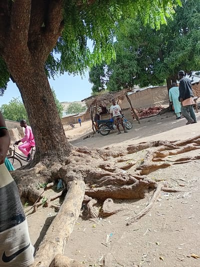 The image depicts a scene in what appears to be Nata-Ala, Nigeria. A large tree dominates the foreground, its extensive roots visible on the ground. A man wearing a white shirt and dark pants sits on a motorcycle under a thatched-roof structure. Two people stand nearby. Additional figures are visible further down the dirt road. Another man in pink clothes rides a bicycle, further into the background. The tree branches extend overhead, partially obscuring the sky.
