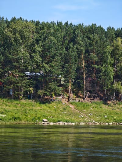 The image depicts a tranquil scene along the banks of the Svir River in Podporozh'e, Russia. A dense, verdant forest dominates the upper portion of the frame, with tall pine trees interspersed with deciduous trees, their lush green foliage creating a thick canopy. A few scattered buildings, possibly houses or cabins, are partially visible through the trees, suggesting a settlement nestled within the natural landscape. A dirt path winds its way up a grassy incline, leading towards the forest. The river itself occupies the lower half of the image, its surface a shimmering expanse of deep green, reflecting the surrounding trees and the clear blue sky above. The water is calm, with gentle ripples disturbing its surface. The overall impression is one of natural beauty and peaceful solitude.