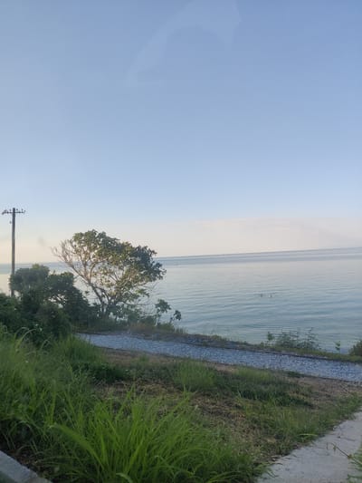 The image depicts a serene coastal scene in Platamonas, Greece. In the foreground, lush green grass and dry vegetation cover a sloping embankment. A gravel path runs along the edge of the embankment, leading towards the sea. A solitary wooden pole with insulators stands on the left side of the frame, suggesting the presence of power lines.

The middle ground features a large, leafy tree with bare branches, positioned on the embankment overlooking the tranquil blue water. The sea stretches out to the horizon, with gentle ripples disturbing its surface. Two figures are visible in the water, appearing to be swimming or wading. A small boat or marker is also discernible in the distance on the water.

The sky above is a clear, pale blue, with a faint white cloud formation near the horizon. The overall impression is one of peace and natural beauty, typical of a summer day in a coastal town.