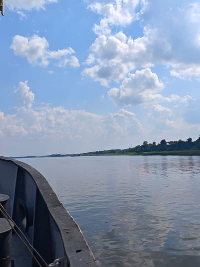 A wide, calm river stretches towards a distant, tree-lined horizon under a bright blue sky filled with fluffy white clouds. The foreground features the dark, weathered edge of a vessel, with mooring posts visible. The riverbank on the right side of the image is densely wooded, with glimpses of scattered houses and a few taller structures amongst the trees. The water reflects the sky and the distant landscape, with subtle ripples indicating a gentle current. The scene evokes a sense of peaceful travel on a sunny day.