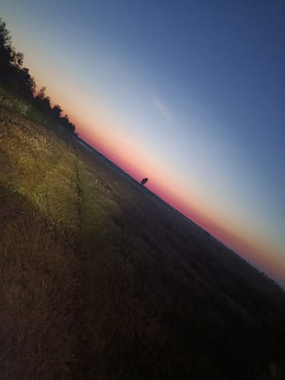 The image depicts a rural landscape in Khynochi, Ukraine, captured during a sunset or sunrise. The sky transitions from a deep blue at the top to shades of pink and orange near the horizon, indicative of twilight. In the foreground, a field of dry grass or crops stretches diagonally across the frame, with some lighter patches suggesting uneven terrain or pathways. A line of trees is visible along the left edge of the image, silhouetted against the colorful sky. A solitary tree stands in the middle ground of the field. The overall impression is one of a serene, open natural environment at dusk or dawn.
