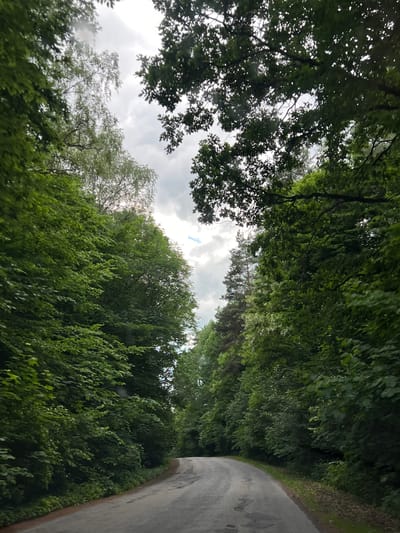 The image captures a paved road winding through a dense forest. The road surface is gray asphalt with some visible imperfections and debris. Lush green foliage lines both sides of the road, with various types of trees creating a canopy overhead. The sky above is overcast with dramatic clouds, allowing some diffused light to filter through the leaves. There are no people or animals visible in the scene. The overall impression is a secluded, natural setting within a wooded area. Based on the information provided, this location is in the city of Mshanets, Ukraine.
