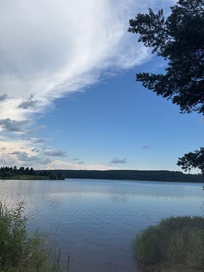 This media file captures a serene natural landscape, likely during the late afternoon or early evening, given the soft light and the gentle gradient of the sky. The scene is dominated by a tranquil body of water, appearing to be a lake, with subtle ripples on its surface reflecting the pale blue sky.

On the right side of the frame, tall, lush green grass and reeds grow along the water's edge, adding texture and a sense of wildness to the foreground. The left side of the image is framed by the dark silhouettes of pine branches, their needles creating a natural canopy that partially obscures the sky.

Beyond the water, a dense forest line stretches horizontally across the midground, creating a dark, unbroken band against the lighter horizon. The sky above is a clear, vast expanse of blue, transitioning to a lighter hue near the horizon. Scattered across the sky are wispy, white clouds, some appearing thin and stretched, others more substantial and diffused.

The overall mood of the image is peaceful and contemplative, evoking a sense of calm and natural beauty. There are no visible people or objects that suggest human activity, focusing the viewer's attention solely on the undisturbed elements of the natural world. The location context suggests this scene is in or around Ochyor, Russia, a region known for its natural landscapes and forests. The time of day appears to be approaching sunset, indicated by the subtle atmospheric lighting. The weather seems pleasant, with a clear sky and gentle conditions.