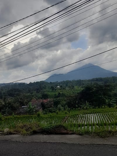 This image, captured in Kecamatan Prigen, Indonesia, presents a vast rural landscape with mountains, terraced rice fields, and overhead power lines, originally rotated 90 degrees clockwise.
In the upper portion of the frame, the sky is largely covered by thick, grey clouds, with a small patch of clear blue sky visible towards the left. Numerous black power lines or communication cables stretch diagonally across the sky from the upper left to the lower right, partially obscuring the view.
The background features a prominent mountain range, appearing somewhat hazy and blue due to distance, indicating its scale. The midground is densely covered with vibrant green vegetation, typical of a tropical environment, suggesting forests or jungle cascading down hillsides. Within this lush greenery, distinct terraced rice paddies are visible, particularly towards the right side of the image, with some sections reflecting light, indicating they are filled with water. A few small, indistinct structures, possibly houses or farm buildings, are nestled amongst the trees.
On the far right edge of the image, a dark asphalt road runs vertically, bordering the cultivated landscape. The scene depicts a peaceful, agricultural setting. The lighting suggests it is daytime, possibly under an overcast sky. There are no people visible, nor any discernible activities taking place. No visible text is present in the image.