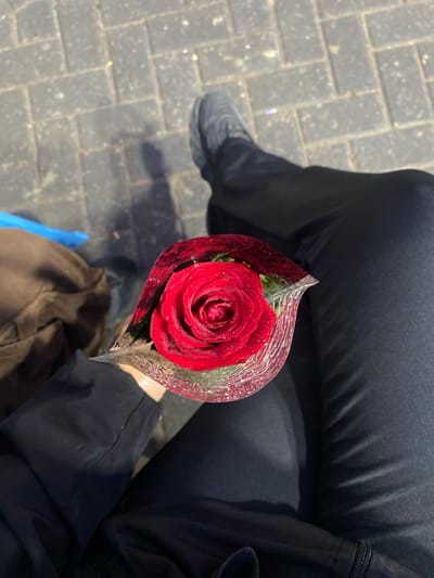 An overhead shot captures a person holding a single, vibrant red rose in Lomas de Zamora, Argentina. The rose is the central focus, appearing fresh with numerous small water droplets clinging to its petals and the clear, patterned plastic wrap that encases it. The plastic wrap has decorative silver or white lines, suggesting it was recently purchased or prepared as a gift.
The person's body is partially visible from the waist down. They are wearing dark, possibly black, casual pants that show some wrinkles and folds. A black athletic shoe with a textured sole is visible on the left side of the frame, indicating one foot is resting on the ground. Another dark garment, possibly a sleeve or another part of the outfit, is visible on the right. Below the rose and the person's right leg, a section of a brown garment or bag is visible, along with a bright blue object, possibly a strap or bag detail.
The setting is an outdoor area with a ground composed of grey interlocking pavers, typical of sidewalks or public pathways in urban or suburban environments. The pavers appear somewhat worn and have a few specks of debris. The lighting is diffused, suggesting either an overcast day or a shaded area, without harsh shadows. No specific time of day or weather conditions can be definitively determined, though the water droplets on the rose might imply recent rain or a deliberate misting. There is no visible text in the image.
