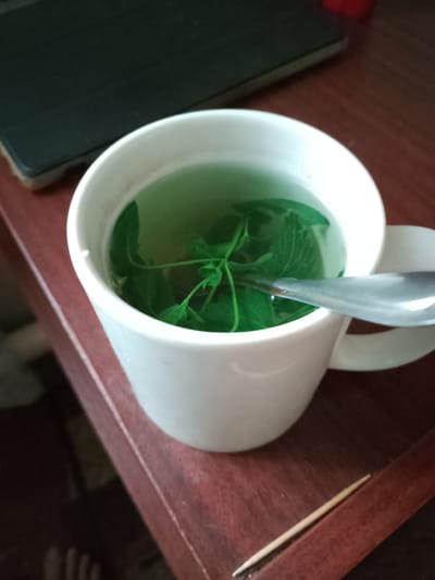 The image shows a close-up of a white mug filled with green liquid and fresh green herbs, likely for making tea. A silver spoon rests in the mug, partially submerged in the liquid. The mug is placed on a dark wooden surface, possibly a table or desk. In the background, a black rectangular object, possibly a laptop or tablet, is visible. To the right of the mug, a wooden toothpick lies on the surface. The scene is indoors, with the lighting suggesting it could be daytime. There is no visible text in the image. The overall impression is one of a simple, possibly relaxing moment, with the focus on the prepared beverage.