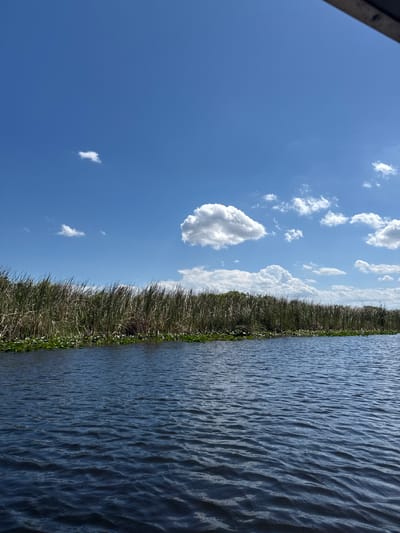 The image shows a waterway bordered by tall grasses under a blue sky with scattered cumulus clouds. The water surface is rippled. The location is likely a canal or waterway in Weston, Florida, United States, given the vegetation and landscape typical of the area. There are no people visible.