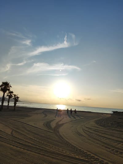 The image captures a serene beach scene in El Campello, Spain, during sunset. The sky is a gradient of light blue and golden hues, with wispy white clouds scattered across it. The sun, a bright orb, is setting over the calm Mediterranean Sea, casting a warm glow on the horizon.
In the foreground, the sandy beach is marked with tire tracks, suggesting recent activity by a beach maintenance vehicle. Several palm trees stand silhouetted against the bright sky on the left side of the image.
A small group of people, silhouetted by the setting sun, are walking along the shoreline. They appear to be moving from left to right, towards the setting sun. Their figures are indistinct, but their presence adds a human element to the tranquil landscape. In the distance, the coastline of El Campello can be seen, with buildings and hills forming a picturesque backdrop. The sea is calm, reflecting the colors of the sky.