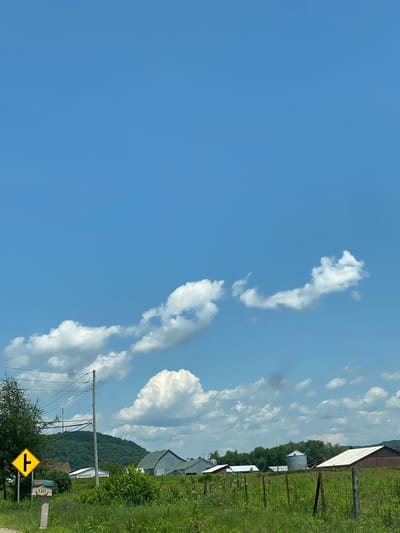 The image depicts a rural scene under a bright blue sky with scattered white clouds. In the foreground, a grassy field is visible, with a fence line running across it. To the left, a yellow directional sign with a black arrow indicating a fork in the road is posted near a mailbox. Further into the scene, several farm buildings are present, including barns with green and brown roofs, and a metal silo. A line of trees forms a backdrop behind the farm buildings, and rolling, tree-covered hills are visible in the distance. The overall impression is one of a peaceful, agricultural landscape. The exact location within Saint-André-Avellin, Canada, cannot be determined from the image alone.