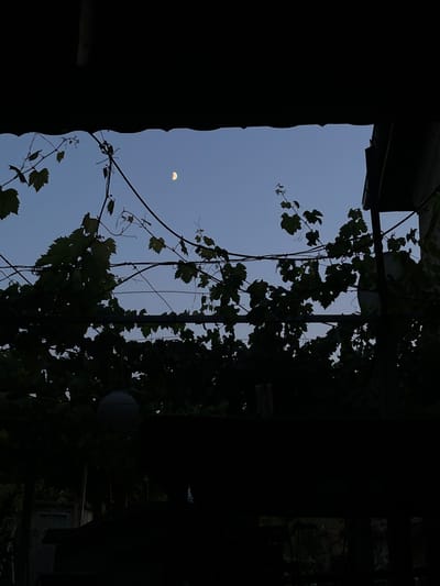 The image depicts a twilight scene viewed from under a dark, overhanging structure, possibly a porch or awning. The sky is a deep blue, transitioning to a lighter hue near the horizon, with a crescent moon visible in the upper right quadrant. In the foreground, silhouetted against the sky, are the dark green leaves and vines of what appears to be a grapevine, supported by wires and poles. The foliage is dense and partially obscuring the view beyond.

Below the vines, the lower portion of the image is almost entirely black, revealing only faint outlines of objects and structures. A rounded, light-colored object, possibly a lantern or a decorative sphere, hangs from a wire within the darkened area. Further back, indistinct shapes suggest the presence of buildings or fences, with some indication of light filtering through the darkness in the far background.

The overall impression is one of a quiet, domestic outdoor space at dusk. The location is identified as Kalnovo, Bulgaria. The image captures a moment of stillness, with the natural elements of the moon and foliage set against the implied man-made environment. There are no people or animals visible in the frame. The composition emphasizes the interplay of light and shadow, with the darkness of the foreground contrasting with the illuminated sky and the subtle details of the natural elements. The presence of the grapevine suggests a garden or a yard. The scene is serene and slightly mysterious due to the limited visibility in the shadowed areas.