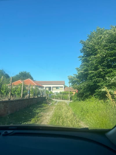 This image, taken from inside a vehicle looking out a window, captures a bright, sunny rural scene in Kovachitsa, Bulgaria. The perspective shows a clear, vibrant blue sky dominating the upper left, partially framed by the lush green canopy of a large tree.
Below the tree, a cluster of houses with traditional red-tiled roofs and light-colored walls extends across the mid-ground. One building towards the back appears more modern with a lighter facade. In front of the houses, there are sections of brick wall and wooden trellises heavily laden with green vines, possibly grapevines, suggesting a vineyard or garden. A person is faintly visible standing near one of the houses, potentially engaged in yard work.
A dirt path or unpaved road runs along the houses, bordered by a strip of tall green grass and weeds on the right side of the frame. The immediate foreground on the right shows a dark section of the vehicle's interior, likely a dashboard or door frame. A small, partially obscured red circular sign with a white 'S' inside is visible near the houses, nestled amongst the foliage. The time of day is clearly daytime, with bright sunlight and a cloudless sky, creating a peaceful and serene atmosphere.