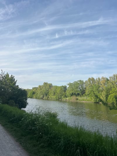 The image displays a serene outdoor landscape featuring a body of water, likely a canal or river, under a bright sky. The sky, occupying the upper left portion of the frame (when correctly oriented), is a clear light blue, accented with numerous delicate, wispy white clouds that stretch in long, parallel formations across the expanse.
The calm surface of the water, situated in the middle of the scene, shows subtle ripples and appears a muted greenish-grey, gently reflecting the sky and the surrounding foliage. Both banks of the water body are densely lined with vibrant green vegetation. The far bank is covered by a continuous stretch of lush, mature trees, their leaves a fresh green.
On the near bank, a thick margin of tall, dark green grass and bushes, interspersed with small clusters of white flowers, separates the water from a pathway. A light-colored, unpaved path, possibly gravel or dirt, runs along the bottom edge of the frame.
No people or animals are distinctly visible, and no specific activity is taking place. The scene suggests a peaceful natural environment on a clear, bright day, likely during late morning or early afternoon, with pleasant weather conditions. There is no visible text in the image.