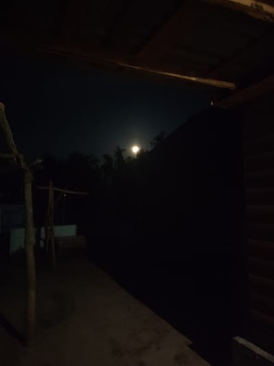 The image captures a nighttime scene from a covered outdoor area, possibly a porch or gazebo, looking out towards a dark landscape. The foreground is dominated by the rough wooden ceiling and beams of the shelter, with a visible tree trunk on the left side. Beyond the shelter, the night sky is visible, illuminated by a bright full moon situated above a silhouetted treeline. To the right, a dark, unlit structure with horizontal siding occupies a significant portion of the frame. The ground in front of the shelter appears to be dirt. The overall impression is one of a quiet, possibly rural, setting at night. The location in Kvitneve, Ukraine, suggests a residential or semi-rural environment.