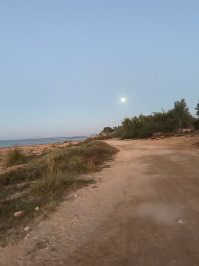 The image depicts a natural landscape scene under a pale blue sky with a faint moon visible. In the foreground, a dirt path curves to the right, flanked by sparse vegetation and dry earth on the left and dense green trees on the right. The path appears to lead towards the trees. Beyond the path and vegetation, a body of water, likely the sea, stretches to the horizon. The overall atmosphere suggests a calm, possibly late afternoon or early evening setting in a coastal area. Given the provided context, this scene is identified as being located in Paralimni, Cyprus.