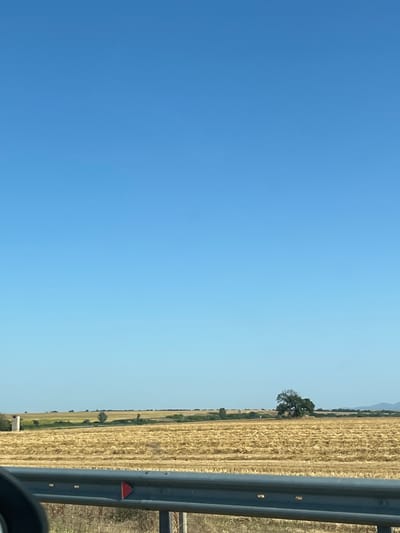 This media file displays a rural landscape under a clear blue sky, suggesting a sunny day. The image is oriented vertically, with the sky occupying the left two-thirds of the frame and a field with a guardrail on the right. The field appears to be harvested, with dry, straw-colored stalks arranged in rows. A solitary, leafy green tree stands in the middle distance of the field, breaking the monotony of the dried crops. Along the far horizon, a range of hills or mountains is faintly visible.
A dark gray guardrail runs along the right edge of the image, separating the road from the field. A small, triangular red reflector is attached to the guardrail. The foreground on the right shows a dark car mirror, indicating the photo was taken from inside a vehicle.
The scene is still and serene, evoking a sense of peacefulness. The bright sky and dry field suggest it is likely daytime, possibly late summer or early autumn when crops have been harvested. The location context places this scene in Benkovski, Bulgaria, a rural area that aligns with the visual elements of the image. There is no visible text within the media file.