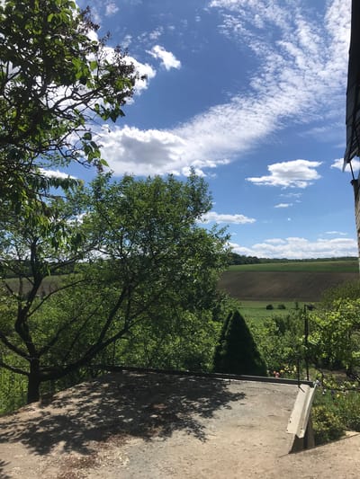 The image shows an outdoor scene in Petrykiv, Ukraine. The view is looking up at the sky with scattered cumulus clouds and some cirrostratus clouds. Below the sky, a field of farmland is visible. In the foreground, there are trees and bushes. To the right, there is a concrete structure, possibly part of a building or wall. The image is rotated, likely taken with a phone or camera held at an angle. The lighting suggests it is daytime. There are no people visible in the frame.