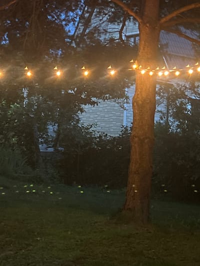 An outdoor nighttime scene in Zelenogradskiy, Russia, features a large tree trunk in the foreground, illuminated by string lights draped across its branches and extending to the left. The lights are round and emit a warm yellow glow. Behind the tree and lights, a building with white brick siding and a dark roof is visible through dense foliage. The ground in the lower portion of the image is a grassy lawn, with numerous small, yellow-green lights scattered across it, potentially indicating fireflies or other bioluminescent insects. The overall ambiance is dark and atmospheric, suggesting a residential or park setting.