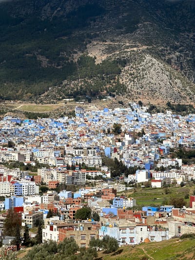 This high-angle, panoramic image depicts the city of Chefchaouen, Morocco, nestled against the Rif Mountains. The scene is dominated by a dense cluster of buildings in the midground, characterized by a distinctive palette of blue and white washes, interspersed with structures in natural brick, concrete, and earth tones. The city sprawls across undulating terrain, with buildings varying from two to five stories, featuring flat rooftops and visible window openings.
In the background, a steep, rugged mountain face rises dramatically, partially shaded on the left, indicating a strong light source from the right. The mountain exhibits areas of dense dark green coniferous trees, scrub, and exposed grey rock formations. A winding dirt track is faintly visible along the base of the mountain.
The foreground consists of a gently sloping hillside covered in patchy green grass and scattered olive trees or similar low-lying vegetation. No individuals, specific actions, or interactions are discernible due to the distance and scale of the overview. The environment suggests a sunny day with clear visibility.
